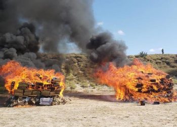 FGR incinera más de 7 toneladas de diversos narcóticos