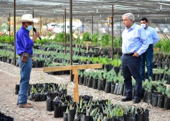 Impulso al campo es fundamental afirma AMLO