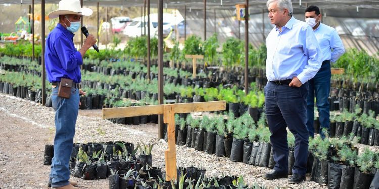 Impulso al campo es fundamental afirma AMLO