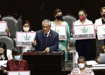 Aprueban la Ley Federal para la Regulación del Cannabis