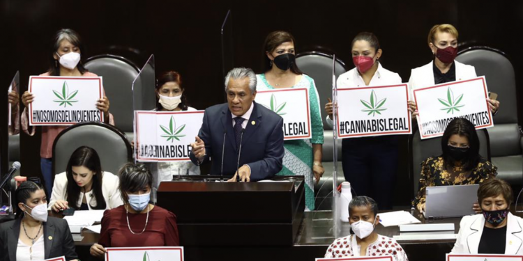 Aprueban la Ley Federal para la Regulación del Cannabis