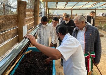 Avanza programa Sembrando Vida en municipios de Oaxaca