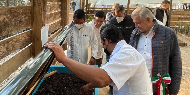 Avanza programa Sembrando Vida en municipios de Oaxaca