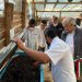 Avanza programa Sembrando Vida en municipios de Oaxaca