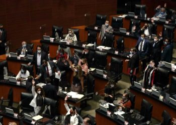 Morena impulsa reforma para reforzar responsabilidad del Estado con el medio ambiente