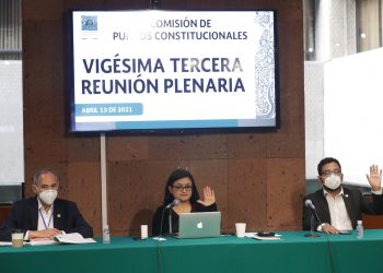 Avanzan puntos constitucionales en materia de vivienda y protección animal