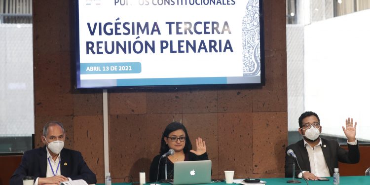 Avanzan puntos constitucionales en materia de vivienda y protección animal