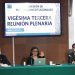 Avanzan puntos constitucionales en materia de vivienda y protección animal