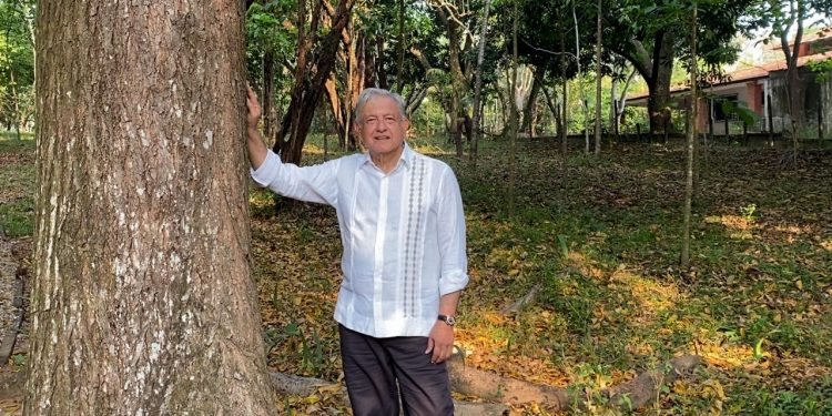 Gobierno de México propondrá a Estados Unidos ordenar flujo migratorio con ampliación de Sembrando Vida en Centroamérica