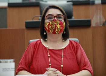 Plantean analizar con la titular de la SEP retorno a clases y deserción escolar provocada por la pandemia