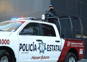 En Puebla, por daños contra el medio ambiente, Policía Estatal detiene a cinco personas