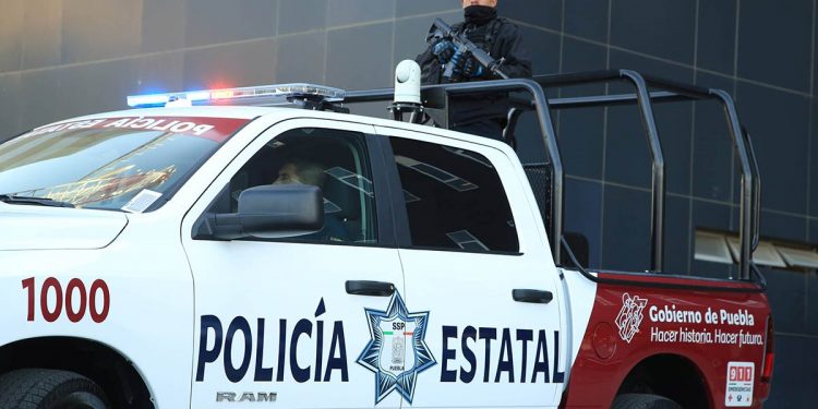 En Puebla, por daños contra el medio ambiente, Policía Estatal detiene a cinco personas