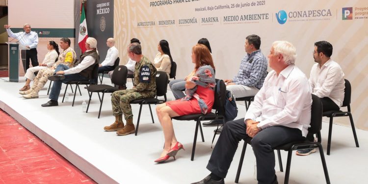 AMLO anuncia ampliación de Programas para el Bienestar