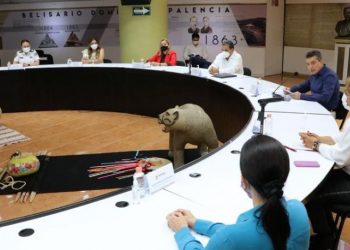 Asiste Conavim al acto de preliberación de 282 personas en Chiapas; 74 son mujeres