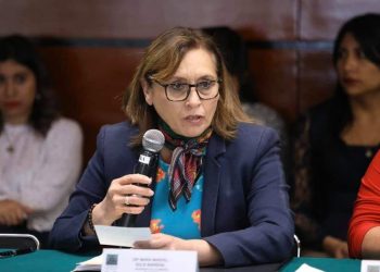 Diputada  advirtió que sólo siete de los 32 congresos locales han instaurados órganos que respondan al Programa de Nacional Unidas para el Desarrollo en México