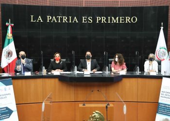 Urgen políticas públicas que combatan desigualdad e impulsen el desarrollo: Senado-PNUD
