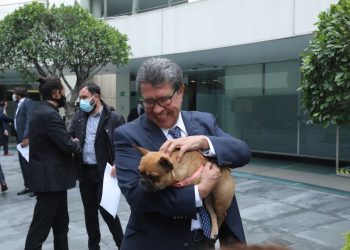 Ricardo Monreal busca que la protección de los animales se convierta en una política de Estado