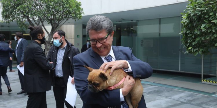 Ricardo Monreal busca que la protección de los animales se convierta en una política de Estado