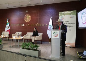 Piden en el Senado equilibrio entre Estado y particulares para la generación de energía