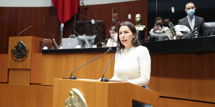 Urgen en el Senado a brindar seguridad social para trabajadores de tecnológicos descentralizados