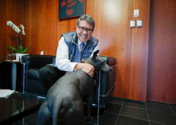 Senado refrenda compromiso de garantizar derechos ambientales y de animales: Ricardo Monreal