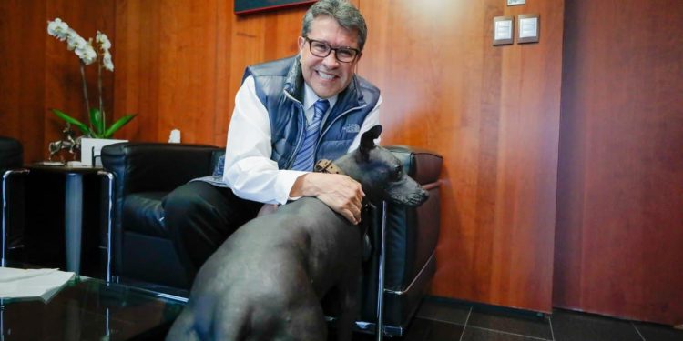 Senado refrenda compromiso de garantizar derechos ambientales y de animales: Ricardo Monreal