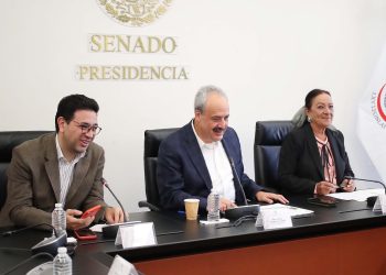Avala Comisión de Justicia imponer hasta 12 años de prisión por comercio ilegal de recursos maderables