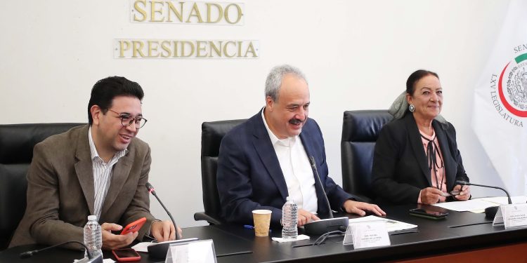 Avala Comisión de Justicia imponer hasta 12 años de prisión por comercio ilegal de recursos maderables