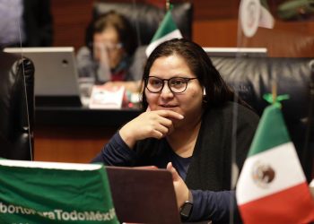 Citlalli Hernández exhorta al Congreso de la CDMX a que investigue al Cártel Inmobiliario ligado a Acción Nacional