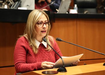 Solicita Congreso a SSPC realizar mayor vigilancia a plataformas digitales de videojuegos