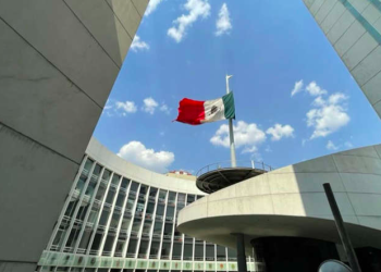 Sugieren a legisladores donar voluntariamente recursos para atención de animales asegurados