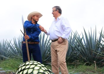 Alianza estratégica internacional beneficiará a cientos de familias en Jalisco