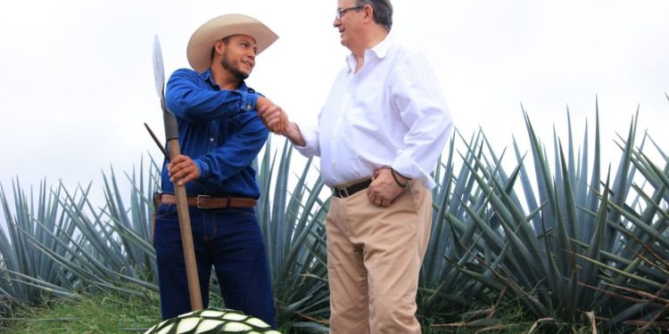 Alianza estratégica internacional beneficiará a cientos de familias en Jalisco