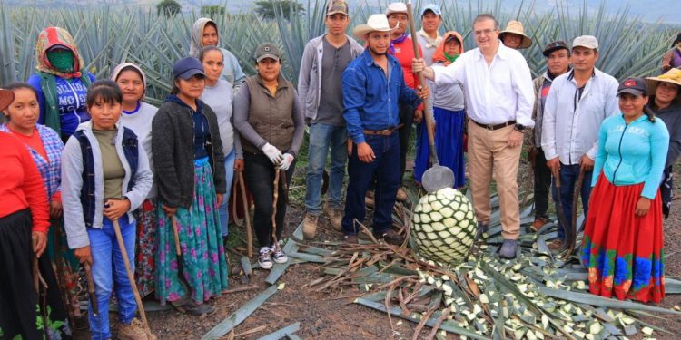 Alianza estratégica internacional beneficiará a cientos de familias en Jalisco