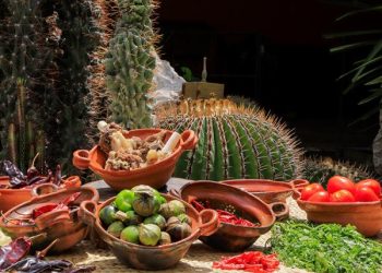 Anuncia Turismo temporada de Mole de Caderas￼