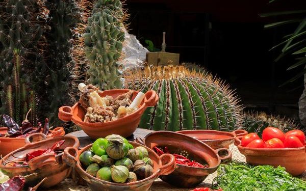 Anuncia Turismo temporada de Mole de Caderas