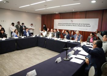 Avalan dictamen que busca garantizar seguridad de productores de aguacate en Michoacán