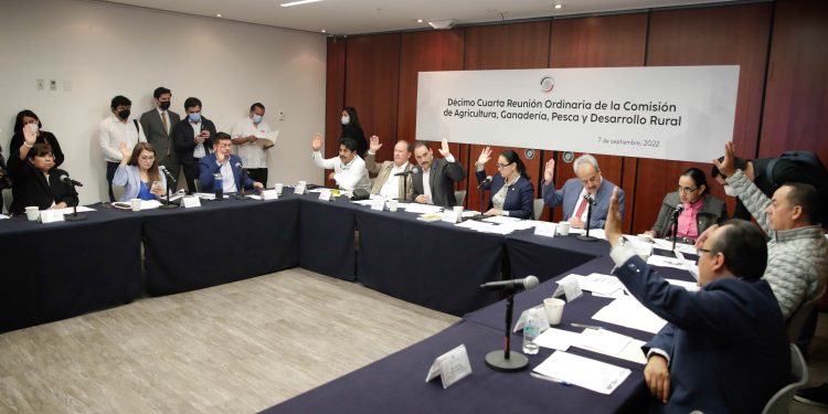 Avalan dictamen que busca garantizar seguridad de productores de aguacate en Michoacán