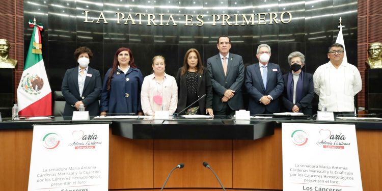 En el Senado analizan acciones para prevenir el cáncer