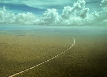 Presidente destaca reinicio del tramo 5 del Tren Maya