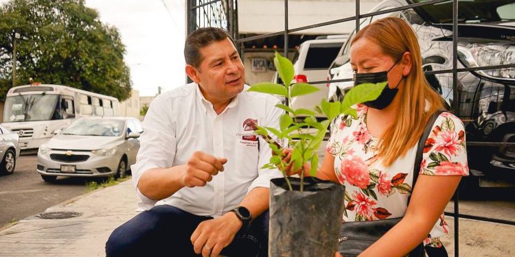 Retoma Alejandro Armenta jornadas para reforestar al estado de Puebla