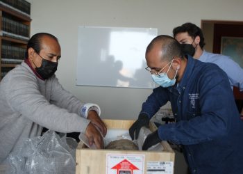 Se formaliza la restitución de más de 50 piezas a México