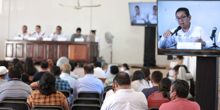 Tramo 6 del Tren Maya es ambientalmente viable; cumple legislación nacional y tratados internacionales