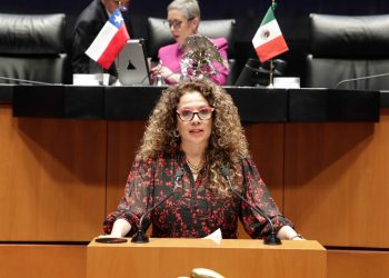    Demandan desde el Senado imponer dos años de prisión por “violencia vicaria”￼