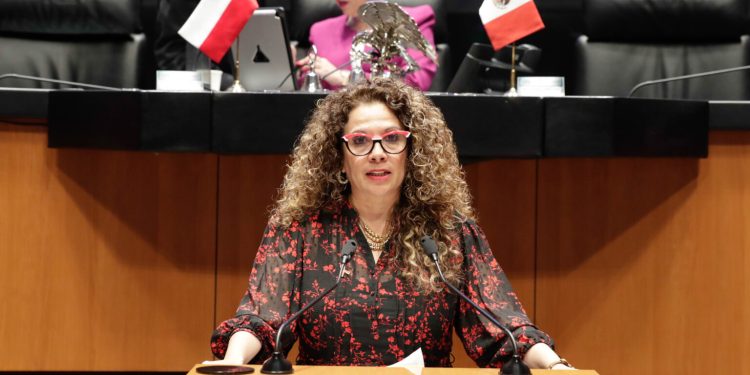    Demandan desde el Senado imponer dos años de prisión por “violencia vicaria”￼