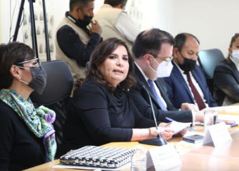 Aplicación de ley y bienestar de la gente, bases de política ambiental: Manrique