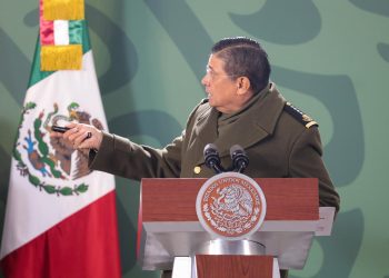 Brigadas de México en Chile sofocan incendios en 291 hectáreas